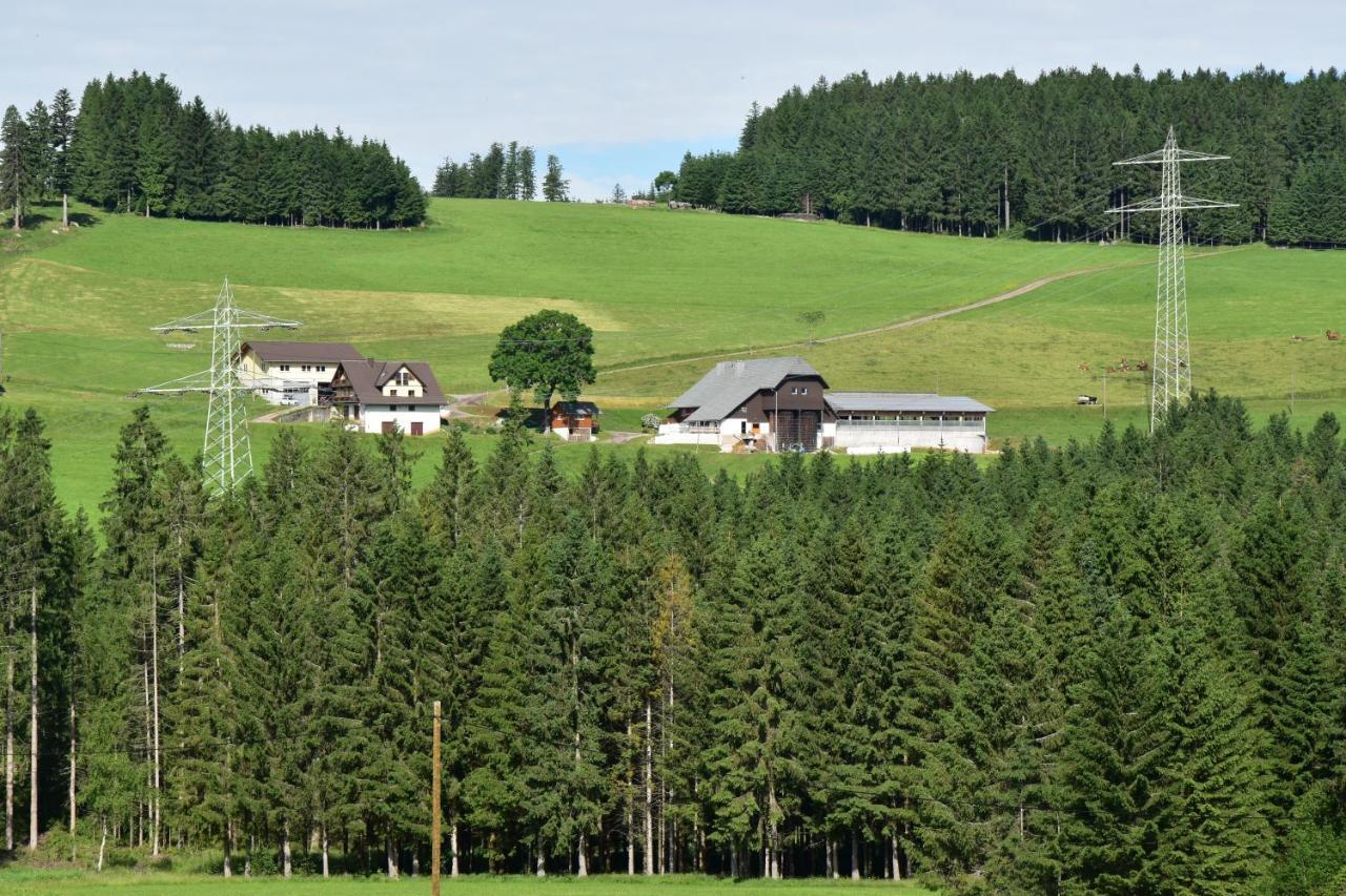 Ferienwohnung Duerrenbartleshof Breitnau Exterior foto